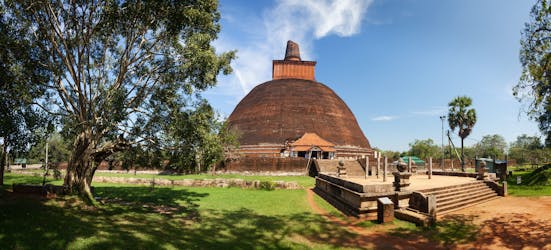 Tour di 2 giorni della foresta di Namal Uyana e dell’antico regno di Anuradhapura da Kandy